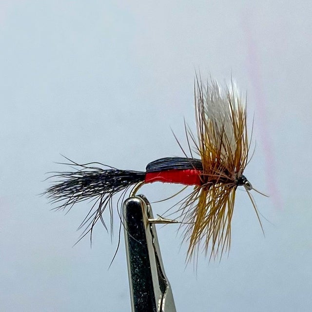 Royal Coachman double hook #12